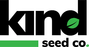 Comprehensive Guide to Marijuana Seeds Arizona Comprehensive Guide to Marijuana Seeds Arizona